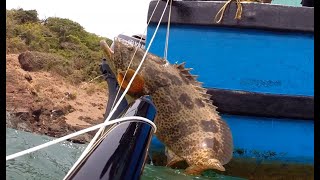 Закрытие сезона подводной охоты в Гоа. Май 2018.