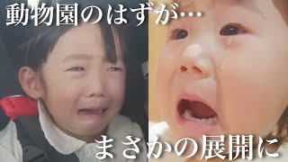 初めての動物園！のはずが…まさかの展開に大号泣の娘たち！【生後10ヶ月＆2.3歳児】