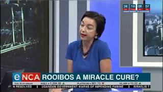 Rooibos miracle cure?