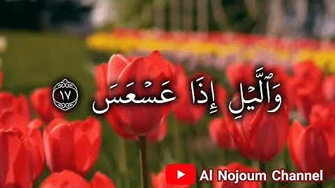 سورة التكوير مكتوبة | بصوت القارئ الشيخ محمود كلداري - Al Nojoum Channel | Surah A-Takwir