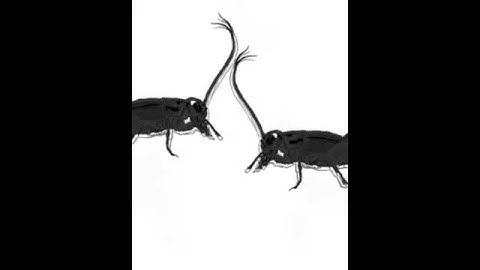 Dialogue interactive installation