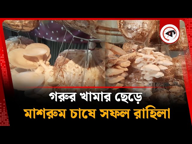 Xitoy lezbiyen pornosini tomosha qiling