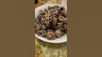 Ốc đá núi Ninh Bình