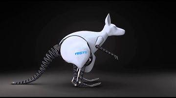 Bionic Kangaroo