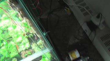 Mistking system initial setup