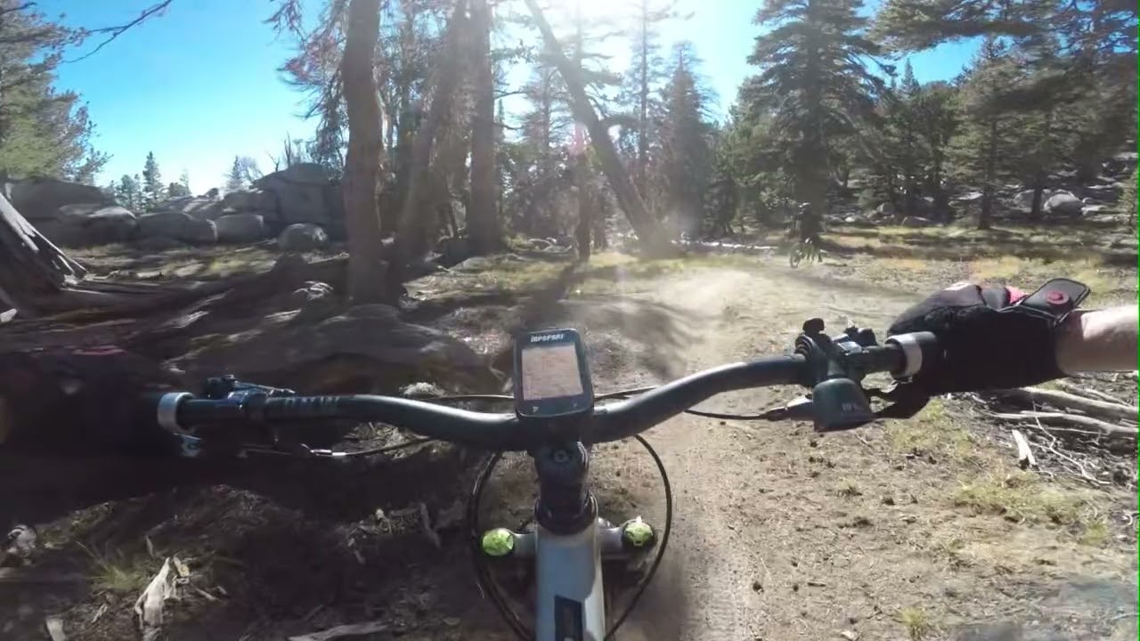 Maxxis Assegai EXO+ 29x2.5WT tire fails in the worst possible place. (top of trail 9000ft-evening).