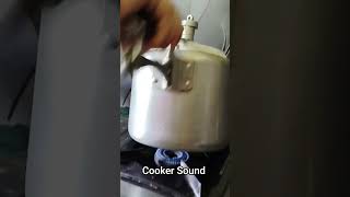 High Steam out of pressure cooker whistle sound