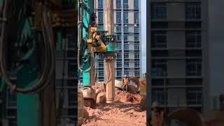 IMG 0371