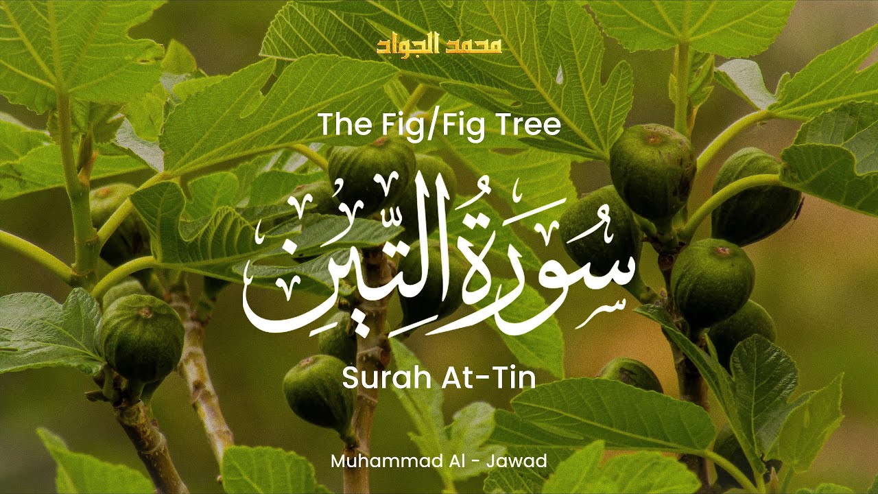 Surah At Tin التين The Fig The Fig Tree Muhammad Al Jawad