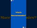 What is Macroeconomics? #trending #yt #2026 #latest #today #economics #education #reels #shorts