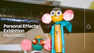 Paul Insect Personal Effects Exhibition Film