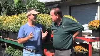 Mr  Greenthumb talks with Steve Stanford of PLANTZ