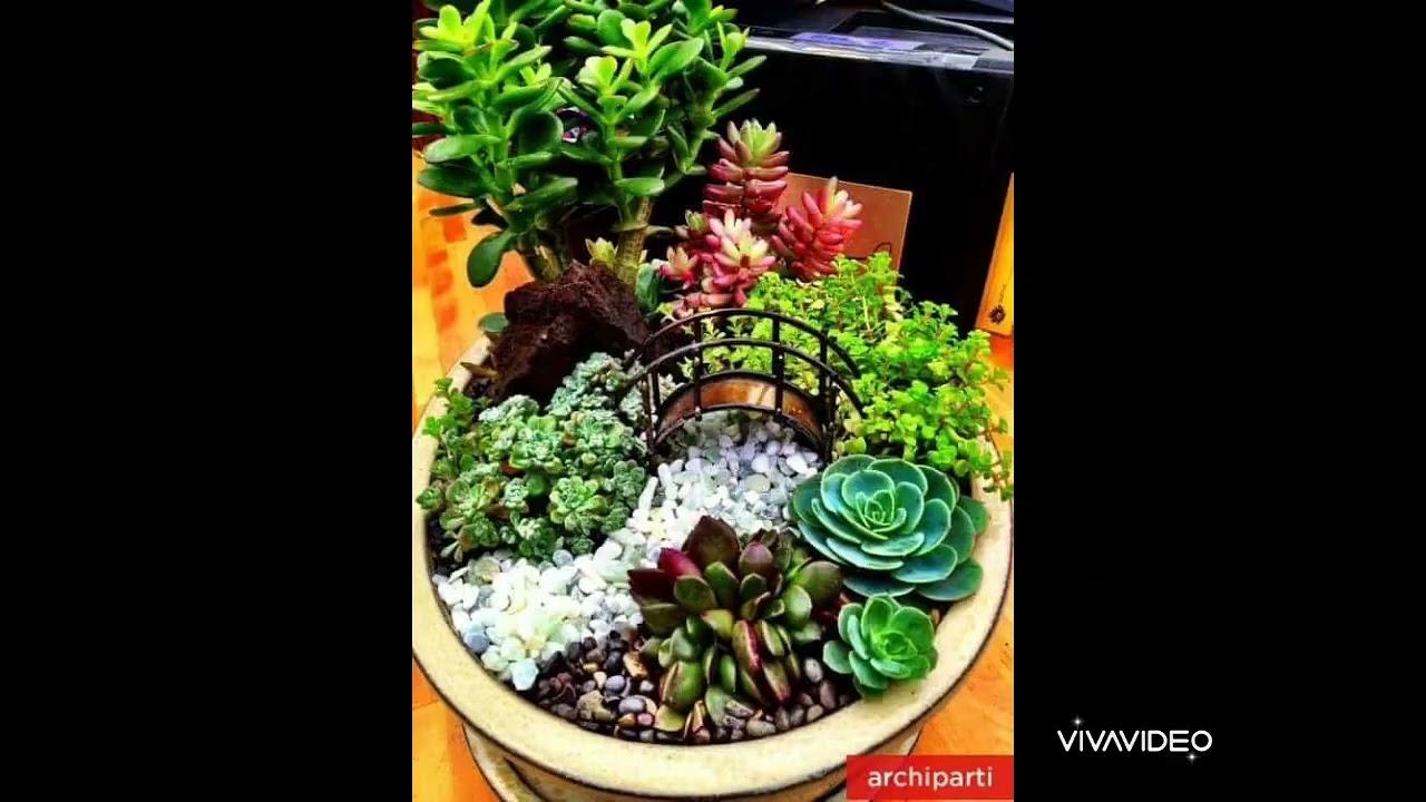 Fairy Garden ideas 2022