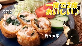 ２種のササミカツ【フライパンで簡単！】