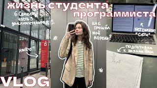 жизнь студента программиста // учеба, последние лекции, экзамены, прогулки и тд. // влог