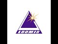 LOOMIS 2020 COMPANY PROFILE