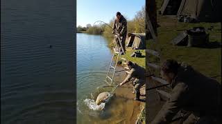 Zig fishing is crazy, mate...🎣🫨 #carpfishing #fishing