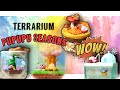 Mở hộp mô hình Kirby Terrarium PuPuPu Seasons cực xinh của Rement | nShop - Games & Hobbies