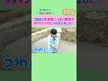 【ytvいろりろ】棚田で田植え体験🌾オタマジャクシをつかまえて大興奮!🐸💨