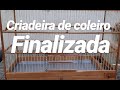 CRIADEIRA PARA CÓLERA (# VÍDEO 2)