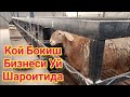 ҚЎЙ БОҚИШ БИЗНЕСИ УЙ ШАРОИТИДА ОХХИРИГАЧА КОРИНГ