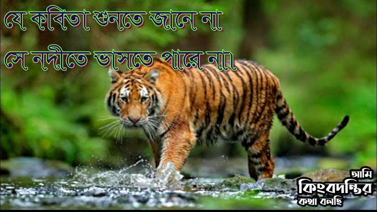 Hardcore BDSM yosh qiz bilan kochada.