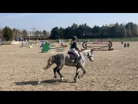 Show Jumpers