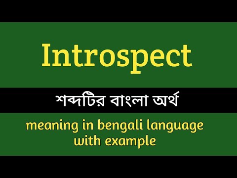 Introspect Meaning In Bengali With Example || introspect শব্দটির বাংলা অর্থ কি হবে ?