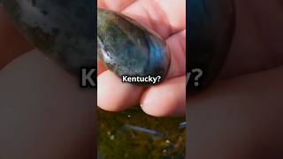 Top Spots to Find Gemstones in Kentucky!