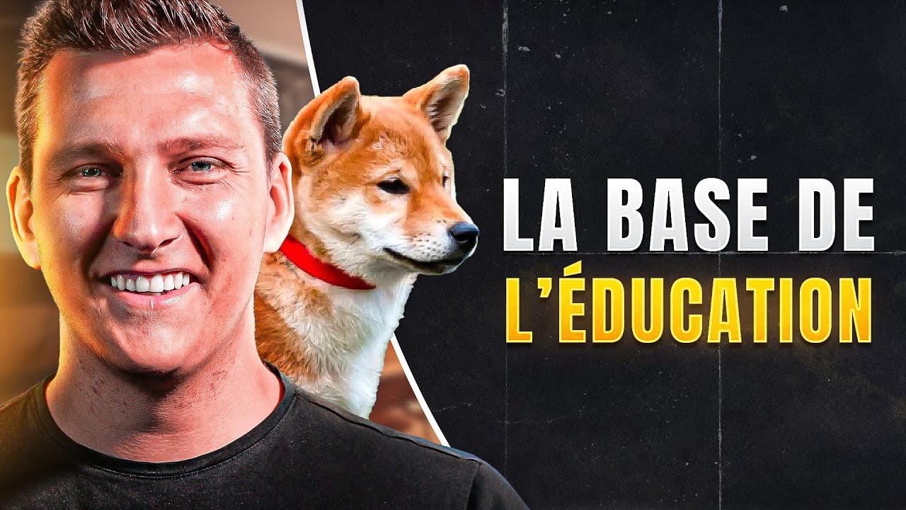 La première chose à faire pour éduquer son chien - EDUC DOG - YouTube
