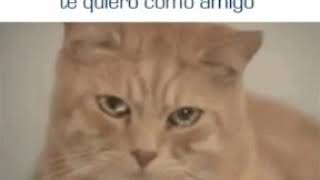 Té quiero mucho