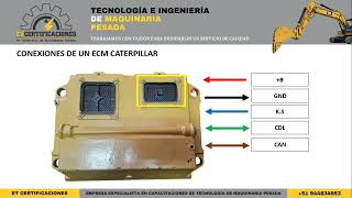 ECM Caterpillar-conexiones eléctricas