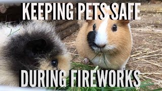 HOW TO KEEP PETS SAFE DURING FIREWORKS \ Furry Friends