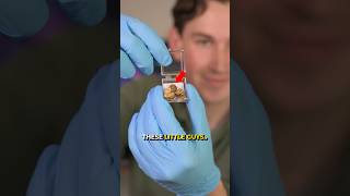 I Tested What Makes Jumping Beans Move 😳