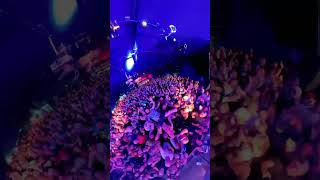 Seattle Ohanathat Was A Wild Onethanks For Bringing The Best Vibes
