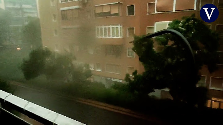 Las imágenes de las fuertes tormentas en Barcelona y Vilafranca que han derribado árboles