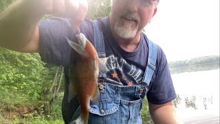 Bluegill,Red ear and surprise catfish
