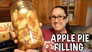 Making Apple Pie Filling Homestead Kitchen by Lady’s Farm 392 views 7 months ago 5 minutes, 49 seconds