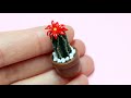 Miniature Cactus🌵