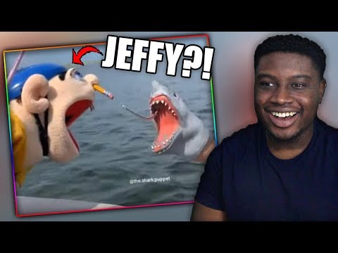 shark-puppet-compilation-2-reaction!