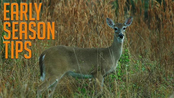 Mastering Early Season Deer Hunting: 3 Expert Strategies