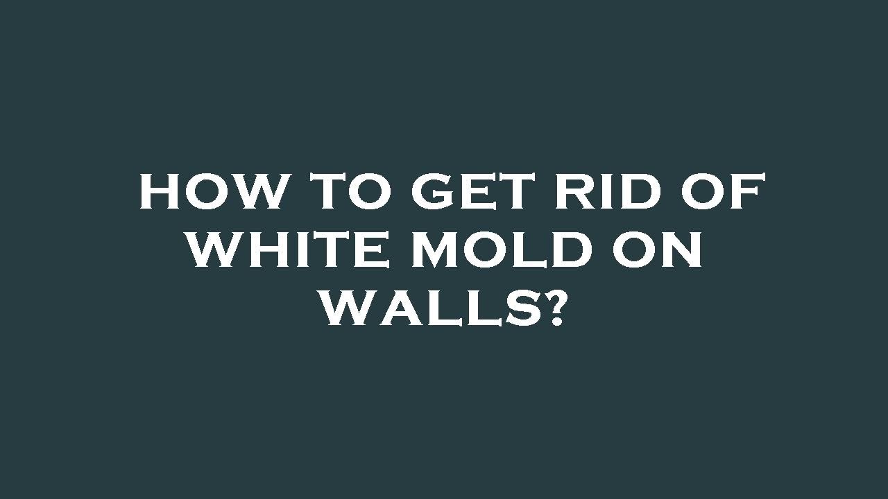 How to get rid of white mold on walls? YouTube