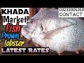 Fish Video | Latest Rates Of Fish Prawn & Lobster | Khadda Market Fish Market on 8th Nov 2020