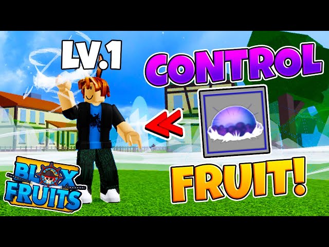 NOVA* FRUTA OPE OPE NO MI NO BLOX FRUITS ? *TEORIA* 