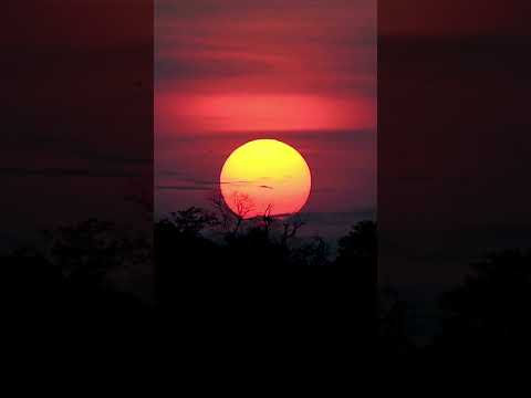 أين تذهب الشمس عندما تغرب