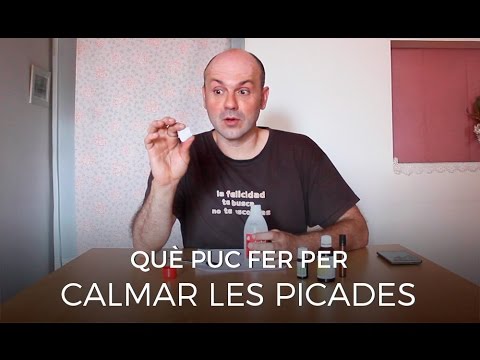 Vídeo: Què Fer De Carn Picada, Excepte Les Costelles