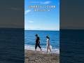 小高恵美さんシングル曲集。海をふたりじめ。#shorts