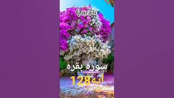 ترجمه سوره بقره آیه 128 #تلاش #مرد #آگاهی #قرآن_کریم