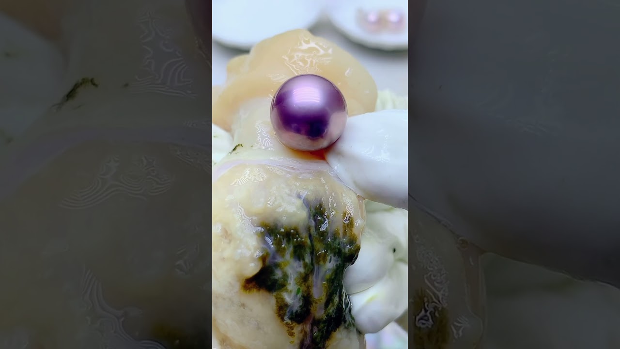 “Discovering Natural Purple Pearl in Freshwater Mussels | Rare and Beautiful Gems”