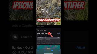 Did you know that your iPhone can identify plant types? #shorts #iphone
